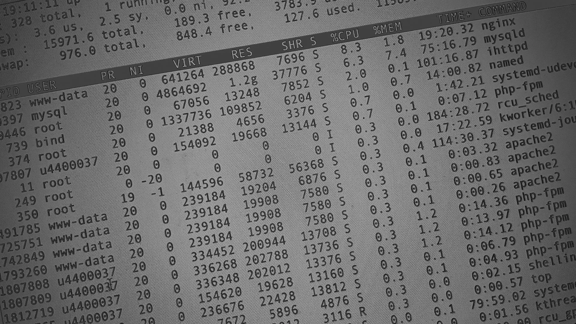 Настройка сервера в Чите