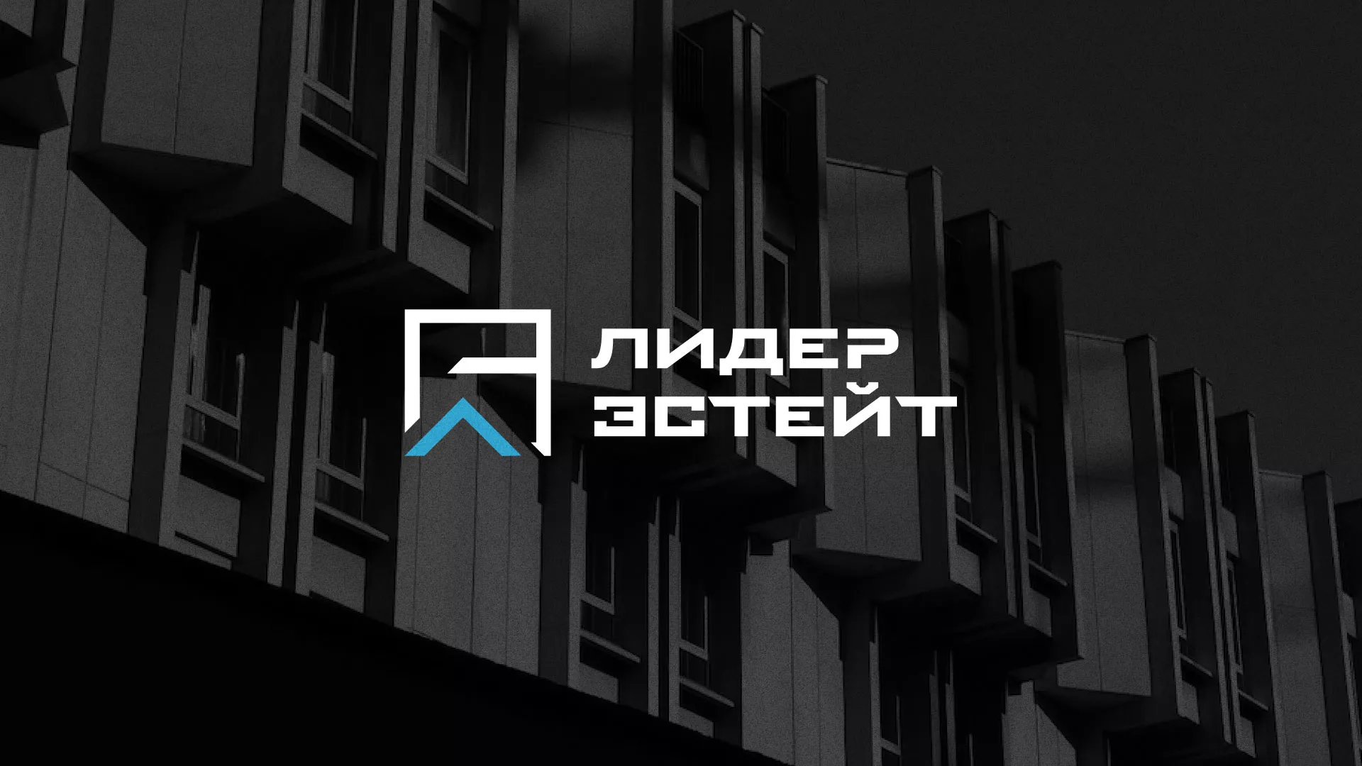 Разработка логотипа агентства недвижимости «Лидер Эстейт» в Чите